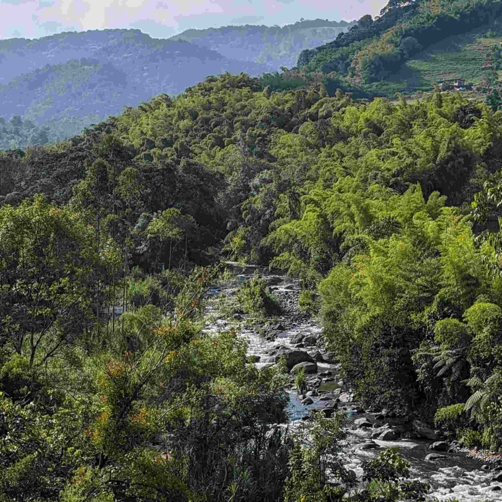 Vista del Rio Otun